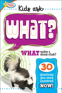 WHAT Makes a Skunk Stink?