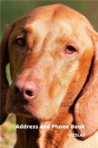 Address and Phone Book