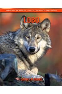 Lobo