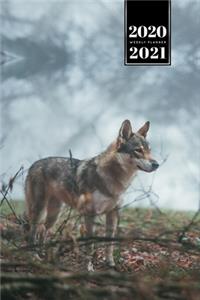 Wolf Wolves Week Planner Weekly Organizer Calendar 2020 / 2021 - Misty Forest