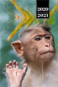 Monkey Ape Week Planner Weekly Organizer Calendar 2020 / 2021 - Little Diva