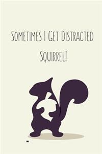 Sometimes I Get Distracted - Squirrel!