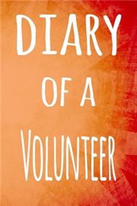 Diary of a Volunteer