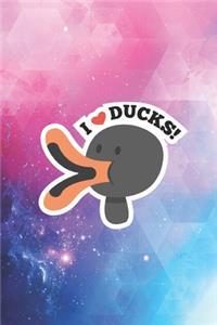 I heart love Ducks - Duck Animal Lover - Pet Owner Journal