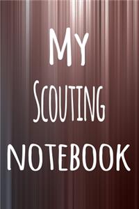 My Scouting Notebook