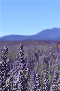 Lavender Notebook
