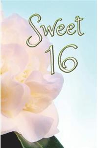 Sweet 16