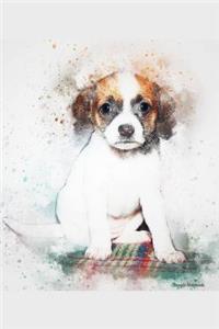 Beagle Notebook