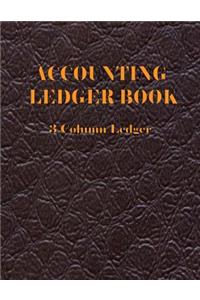 Accounting Ledger Book