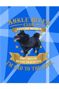 Ankle Biter Club Lifetime Member: Don't Hate Me Because I'm Beautiful, I'm Bad to the Bone - Schipperke