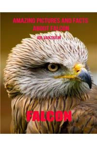 Falcon: Amazing Pictures and Facts about Falcon
