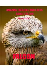 Falcon