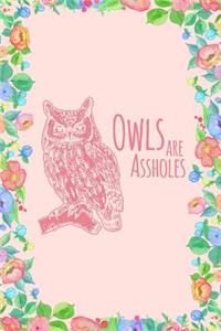 Owls Are Assholes Journal Notebook