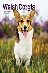 Welsh Corgis 2022 Mini