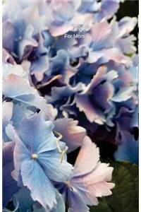 Hydrangea For Mom