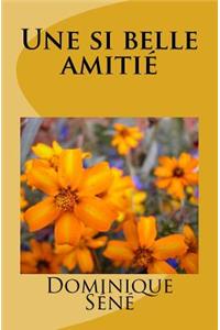 Une Si Belle Amitié