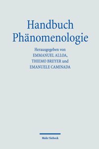 Handbuch Phanomenologie