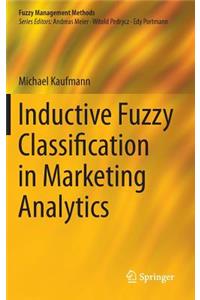 Inductive Fuzzy Classification in Marketing Analytics