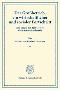 Der Grossbetrieb, Ein Wirtschaftlicher Und Socialer Fortschritt