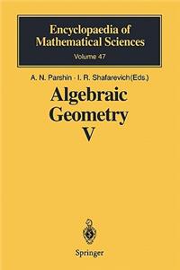Algebraic Geometry V