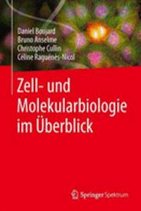 Zell- Und Molekularbiologie Im Überblick