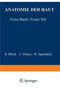 Anatomie der Haut