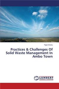 Practices & Challenges Of Solid Waste Management In Ambo Town