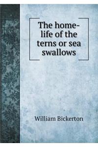 The home-life of the terns or sea swallows
