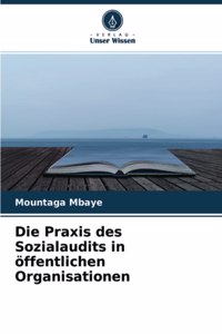 Praxis des Sozialaudits in öffentlichen Organisationen