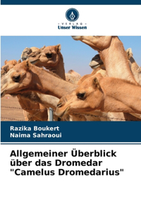 Allgemeiner Überblick über das Dromedar 