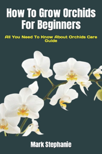 How To Grow Orchids For Beginners