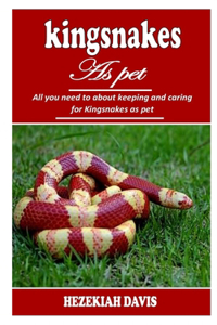 Kingsnakes as Pet