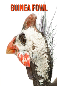 Guinea Fowl