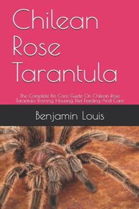 Chilean Rose Tarantula