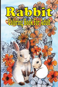 Rabbit Coloring Book For Adult