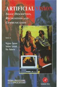 Artificial Vision
