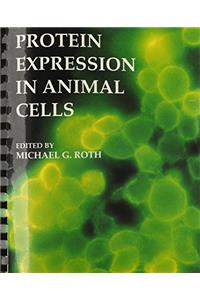 Protein Expression in Animal Cells