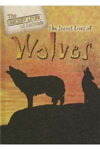 Secret Lives of Wolves