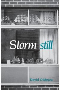 Storm Still