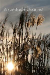 Gratitude Journal