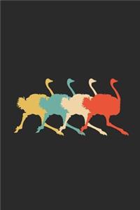 The Ostrich