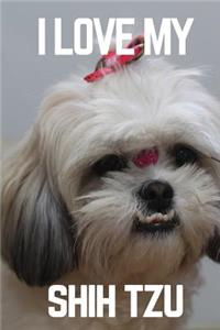 I Love My Shih Tzu