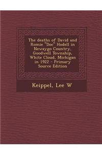 The Deaths of David and Romie Doc Hodell in Newaygo Country, Goodwell Township, White Cloud, Michigan in 1922