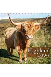 Highland Cows 2018