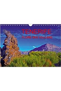 Tenerife Flore Des Volcans 2018