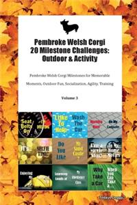 Pembroke Welsh Corgi 20 Milestone Challenges