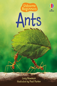 Beginners Ants