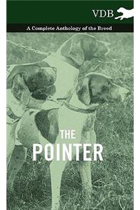 The Pointer - A Complete Anthology of the Breed