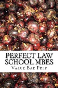 Perfect Law School Mbes: The MBE Questions You Will Find on Examination Day