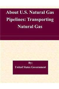 About U.S. Natural Gas Pipelines